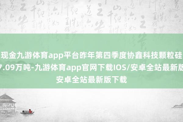 现金九游体育app平台昨年第四季度协鑫科技颗粒硅产量7.09万吨-九游体育app官网下载IOS/安卓全站最新版下载