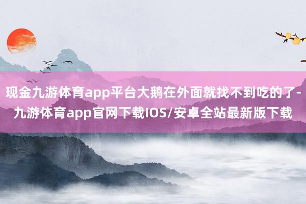 现金九游体育app平台大鹅在外面就找不到吃的了-九游体育app官网下载IOS/安卓全站最新版下载